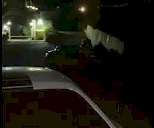 młoda brunetka bez doświadczenia  na świeżym powietrzu