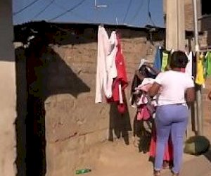 young bitch with dark hair