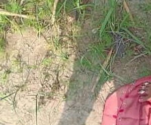 девчонки  трахаются на открытом воздухе