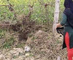 wet lady with nice pussy experiences intercourse outdoor