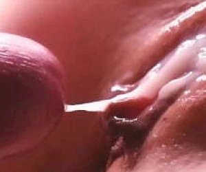 dźentelmen  doświadcza zbliżenia w domu