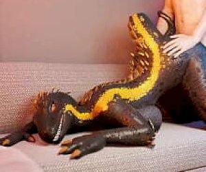 panienka  jest brana na pieska