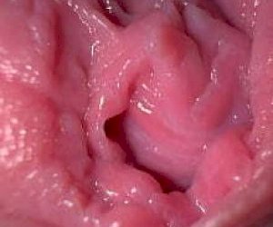 naughty lady about a sexy body experiences intercourse