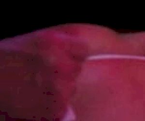 chłop  uprawia seks