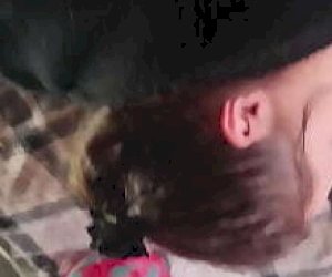 suka z ciemnymi włosami jest brana na pieska w domu