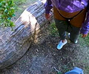 барышня неопытная добыча в общественном месте