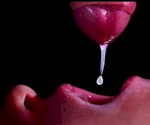 guy  receives a blowjob at home