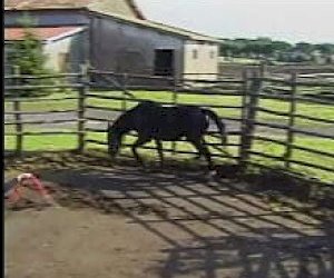 волосатая девочка неопытная любовь