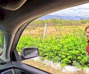 девочка одиночка с большой попой амазонка дома