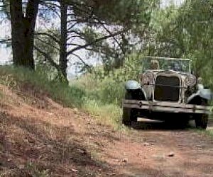 horny  chickenhead with big tits is kissing outdoor